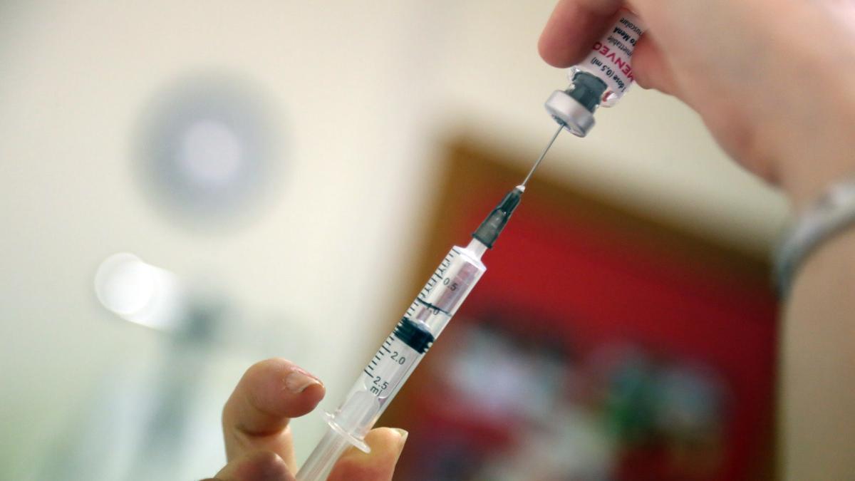 Tufo comincia con internanza e iniezioni: il virus più grave dell'Afrupy degli s...