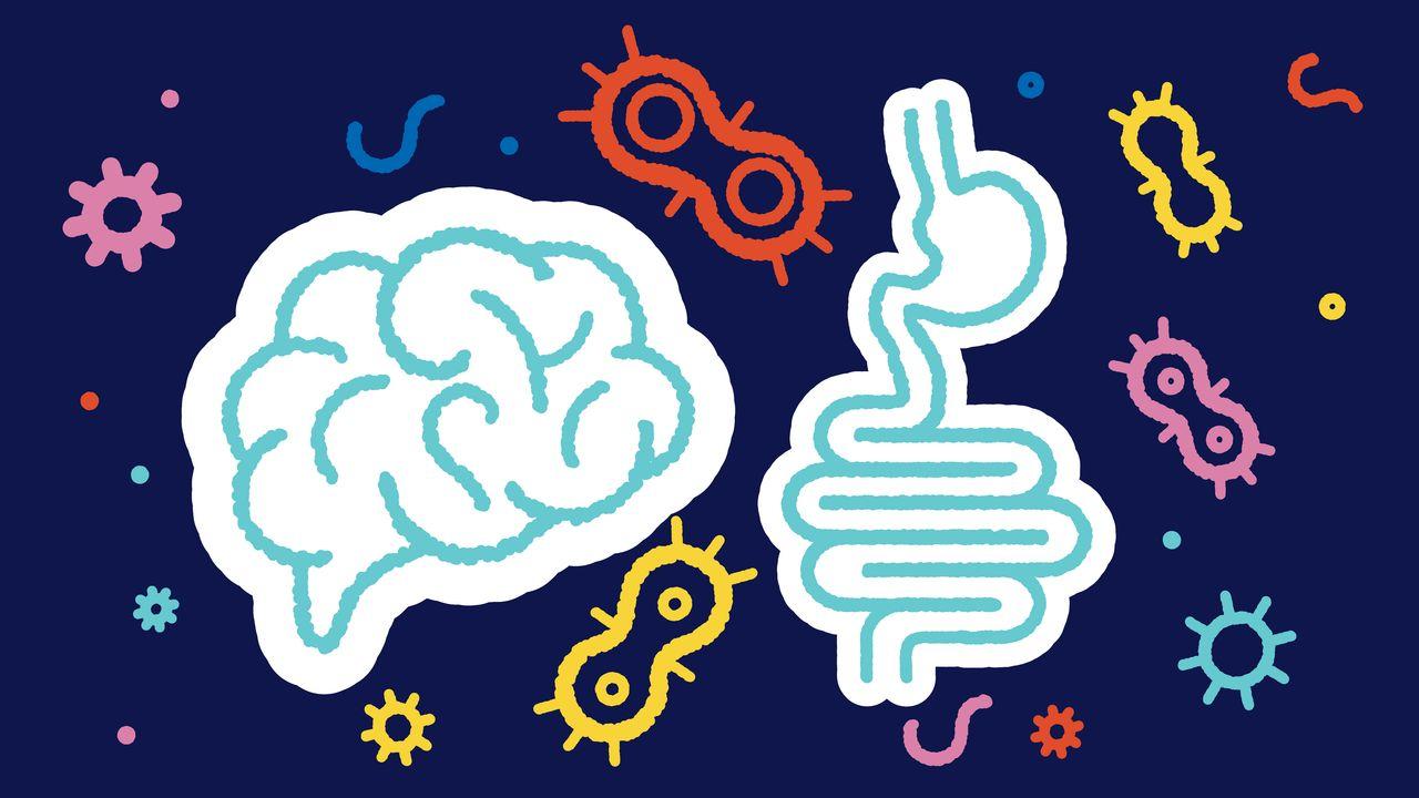 Gut-brain axis, Is it?Do we have the sixth 'bacteria'?New discovery shines us |I...