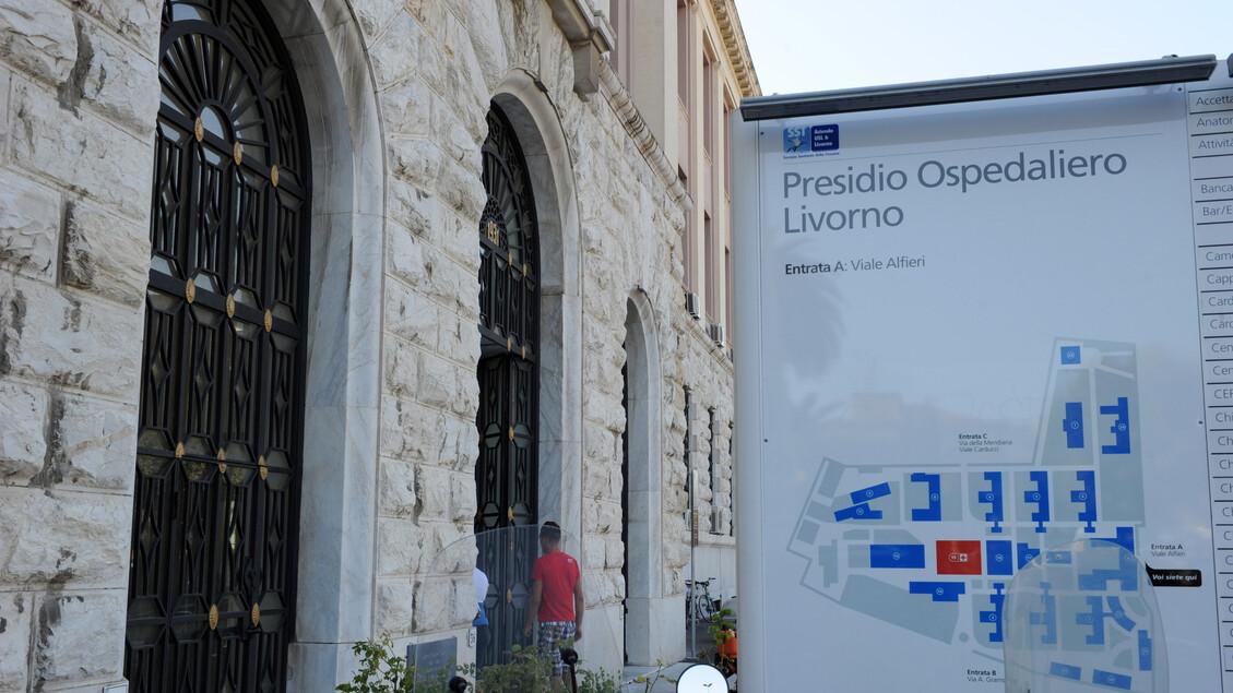 The Dengue Fever Case in Pisa, che ha scaricato l'ospedale Donna - Notizie